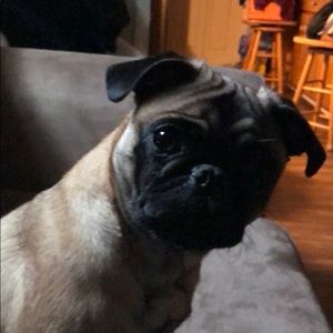 Meet your Posher, Ruby